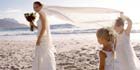 Wedding Advice